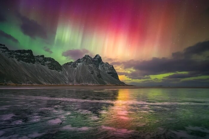 Eastfjords Nature & Wildlife Tour Egilsstaðir